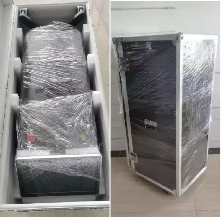 laser hair removal D2 100 laser hair removal D2 100